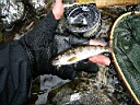 2007-03-31 006.JPG